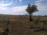 imagen-4