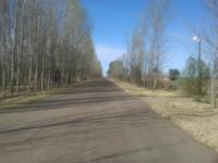 imagen-5