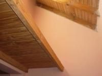 imagen-16