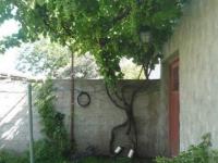 imagen-21