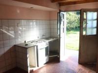 imagen-2