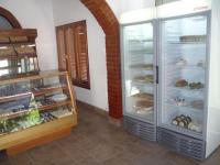 imagen-9
