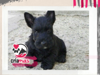 imagen-12