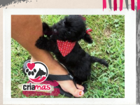imagen-20