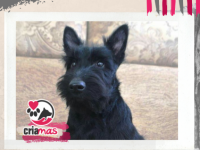imagen-21