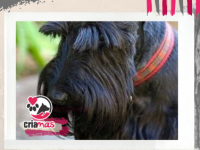 imagen-22