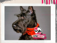 imagen-24