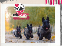 imagen-26