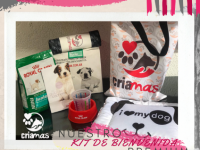imagen-28