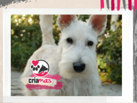 imagen-2